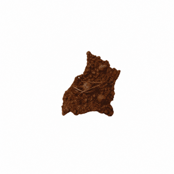 Buckwheat chips with porcini mushroom cream and yeast garum (vegan)