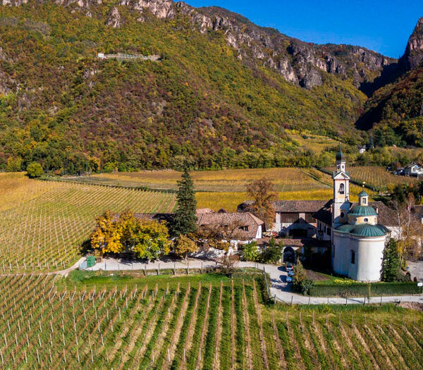 Von Braunbach winery in Siebeneich