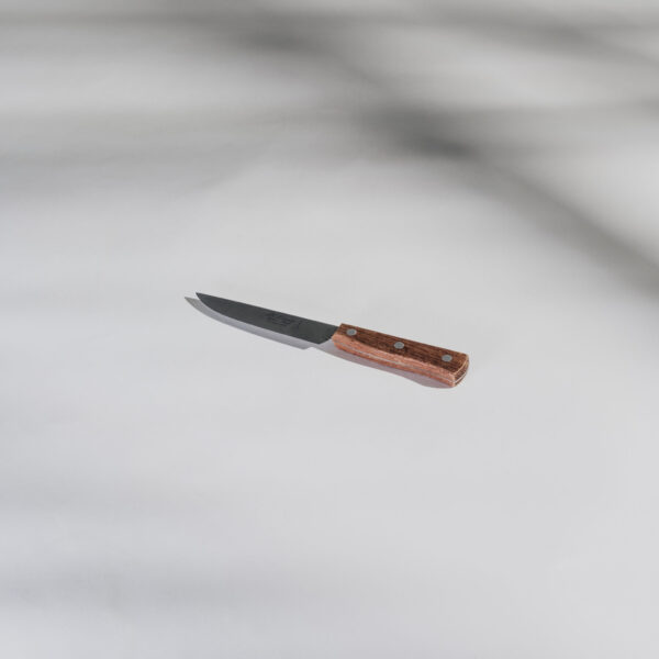 Steak knife