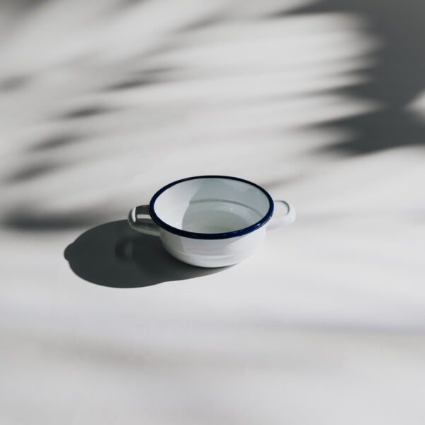 White and blue enamel bowl