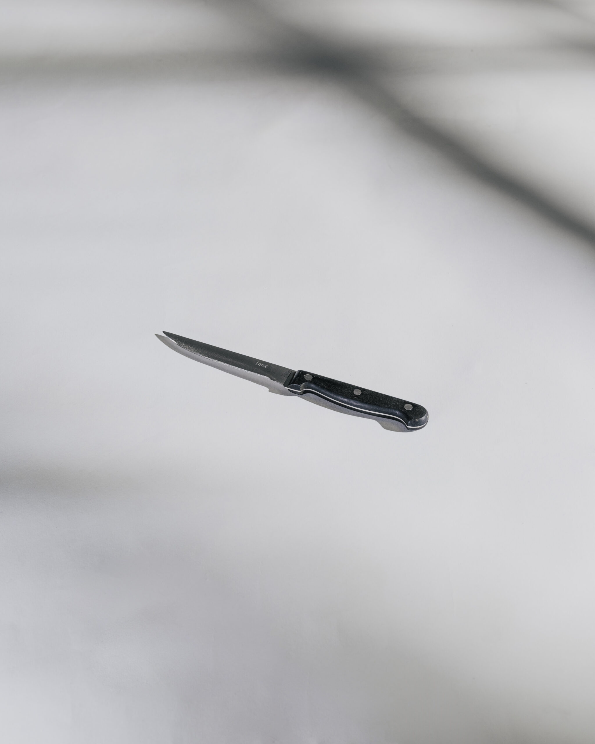 Coltello da speck